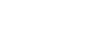 spark